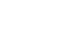google partner logo in white